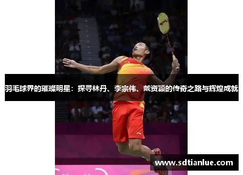 羽毛球界的璀璨明星：探寻林丹、李宗伟、戴资颖的传奇之路与辉煌成就
